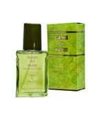 Game of Paris perfume for Men - 100 ml (UAE)